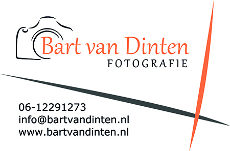 bart van dinten